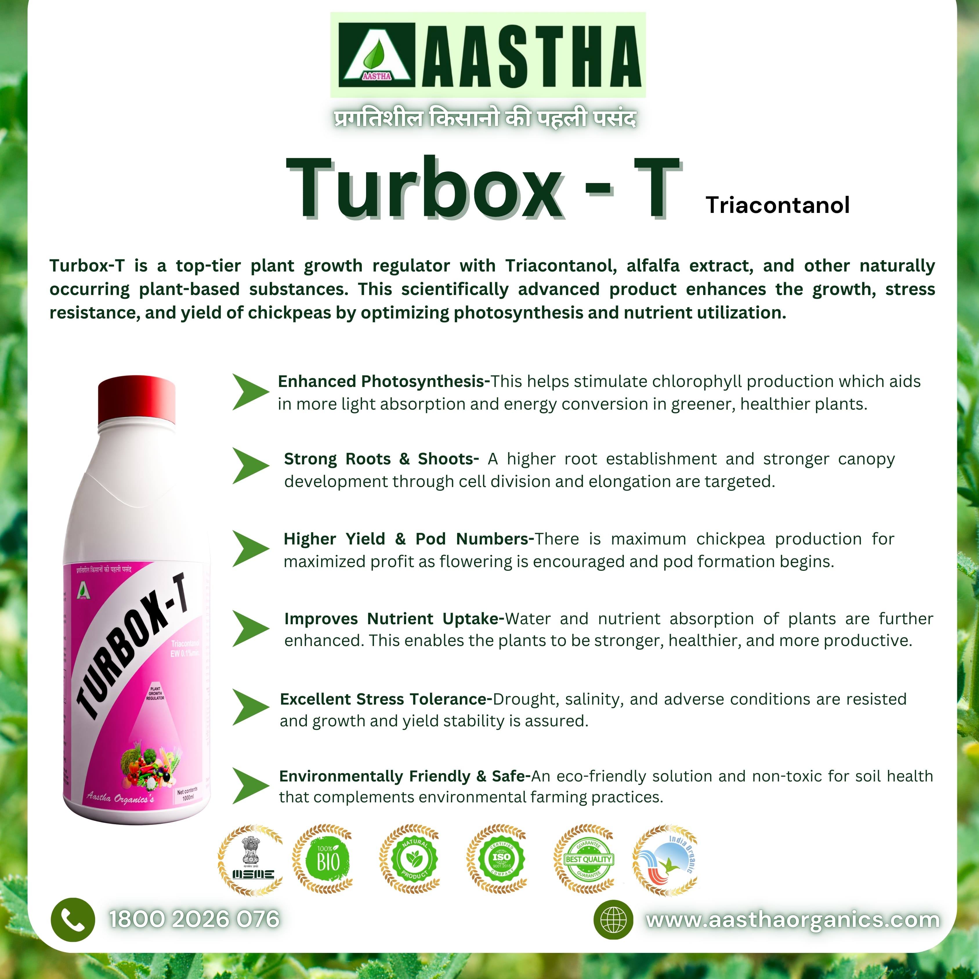 Boost Chickpea Growth with Turbox-T Triacontanol EW 0.1% Min  